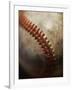 Baseball-Randy Faris-Framed Premium Photographic Print