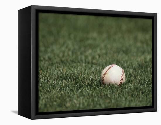 Baseball-Steven Sutton-Framed Stretched Canvas