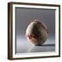 Baseball-Sean Justice-Framed Photographic Print