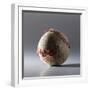 Baseball-Sean Justice-Framed Photographic Print