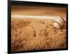 Baseball-Randy Faris-Framed Photographic Print