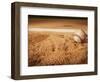 Baseball-Randy Faris-Framed Photographic Print