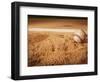 Baseball-Randy Faris-Framed Photographic Print