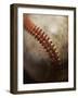 Baseball-Randy Faris-Framed Photographic Print