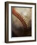 Baseball-Randy Faris-Framed Photographic Print