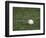 Baseball-Steven Sutton-Framed Photographic Print