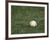 Baseball-Steven Sutton-Framed Photographic Print