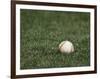 Baseball-Steven Sutton-Framed Photographic Print