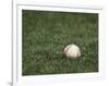 Baseball-Steven Sutton-Framed Photographic Print