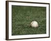 Baseball-Steven Sutton-Framed Photographic Print