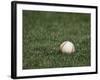 Baseball-Steven Sutton-Framed Photographic Print