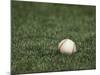 Baseball-Steven Sutton-Mounted Photographic Print