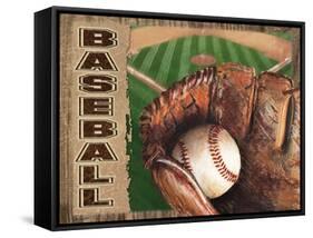 Baseball-Todd Williams-Framed Stretched Canvas
