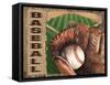 Baseball-Todd Williams-Framed Stretched Canvas