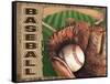 Baseball-Todd Williams-Framed Stretched Canvas
