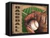 Baseball-Todd Williams-Framed Stretched Canvas