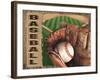 Baseball-Todd Williams-Framed Art Print