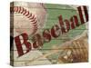 Baseball-Karen Williams-Stretched Canvas