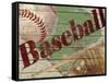 Baseball-Karen Williams-Framed Stretched Canvas