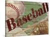 Baseball-Karen Williams-Stretched Canvas