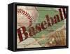 Baseball-Karen Williams-Framed Stretched Canvas