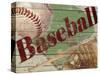 Baseball-Karen Williams-Stretched Canvas