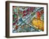 Baseball-Bill Bell-Framed Giclee Print