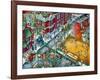 Baseball-Bill Bell-Framed Giclee Print