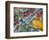 Baseball-Bill Bell-Framed Giclee Print