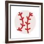 Baseball-Jace Grey-Framed Art Print