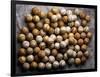 Baseballs-Jim Cornfield-Framed Photographic Print