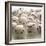 Baseballs-null-Framed Photographic Print