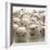 Baseballs-null-Framed Photographic Print