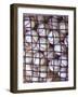 Baseballs-null-Framed Photographic Print