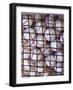 Baseballs-null-Framed Photographic Print