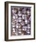 Baseballs-null-Framed Photographic Print