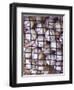 Baseballs-null-Framed Photographic Print