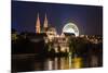 Basel Minster over the Rhine by Night - Switzerland-Leonid Andronov-Mounted Photographic Print
