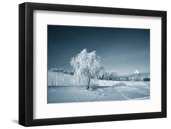Premium Photographic Print, , large