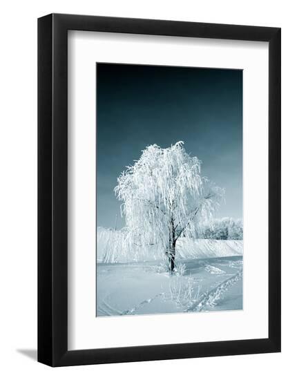 Premium Photographic Print, , large