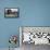 Basement Home-Dorothea Lange-Framed Stretched Canvas displayed on a wall
