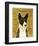 Basenji (Black)-John Golden-Framed Giclee Print