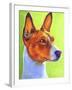 Basenji Burnt Orange-Dawgart-Framed Giclee Print