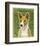 Basenji (Red)-John Golden-Framed Giclee Print