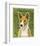 Basenji (Red)-John Golden-Framed Giclee Print