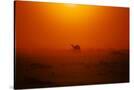 Stretched Canvas