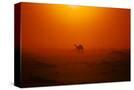 Stretched Canvas
