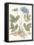 Bashful Blue Florals I-John Miller-Framed Stretched Canvas