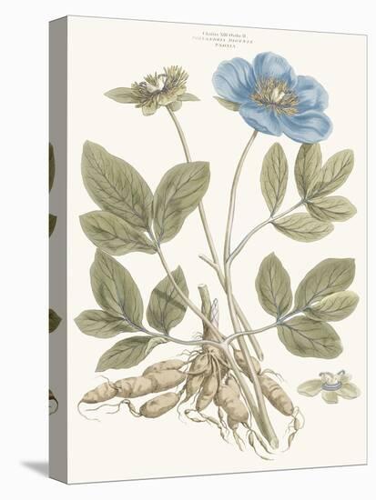 Bashful Blue Florals I-John Miller-Stretched Canvas
