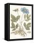 Bashful Blue Florals I-John Miller-Framed Stretched Canvas